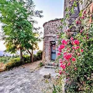 https://historic-14th-century-palazzo-3rd-floor-apartment.it-tuscanyhotel.com